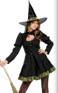Sexy Totally Wicked Witch Dress Adult Womens Costume