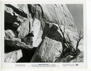 Movie Still~Alan Ladd~Red Mountain (1951) western