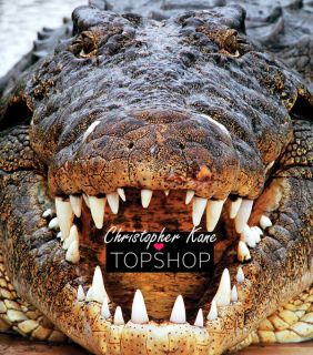 Christopher Kane TOPSHOP Alligator T Shirt Iconic Urban  Rock 