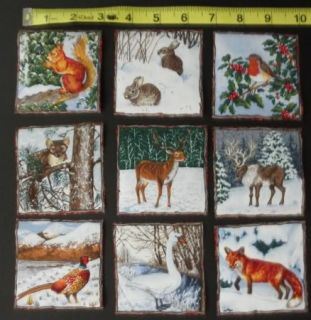 Animals Winter Fabric Squares Fox Bird Squirrel Moose Snow 9 Appliques 