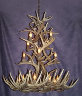 Tall Spruce Chandelier Real Antler Whitetail Lamps