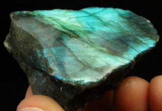 75 Polished Multi Color Labradorite Spectrolite Rough Specimen 