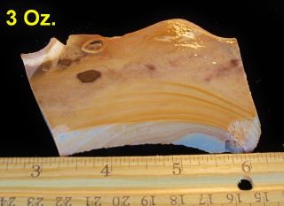 for a picture jasper slab from arizona near ash fork smooth cut should 