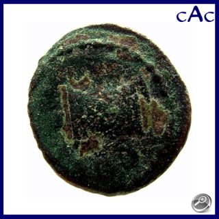CAC Augustus Phrygia Laodiceia AE19 Beare Head Right Zeus Laodicaeus 