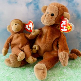 Bongo Beanie Baby Full Size Teenie Cute Monkey RARE MNWT Ty Plush Toy 