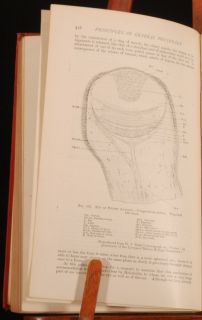 1920 Principles of General Physiology by w M Bayliss