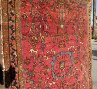   Antique Persian Rug   shabby chic Wool Beauty Circa 1920 