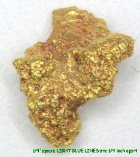 342 gram Bering Sea Nome Alaska Gold Nuggets