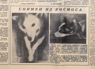 1960 Soviet Russia Belka Strelka Russian Space Dogs Sputnik 2 Flight 