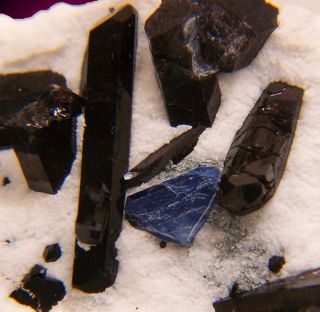 VerySharp Royal Blue BENITOITE+NEPTUNITE Crystals