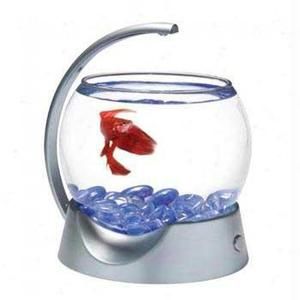 Betta Bowl Silver w Light Aquarium Fish Tank
