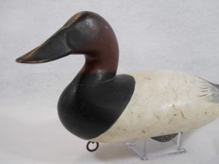 Upper Bay MD Canvasback Drake Duck Decoy Charlie Joiner Original 1960s 