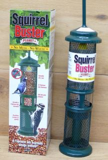  Proof Squirrel Buster Peanut Plus Woodpecker Feeder Brome Bird 