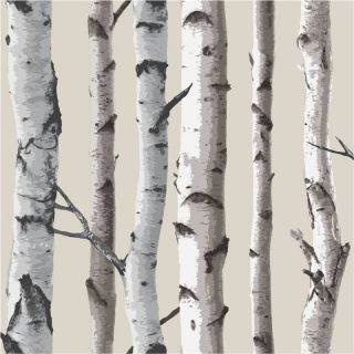   / Cream   FD31051   Birch Tree Forest Woods   Fine Decor Wallpaper