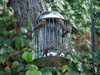 Squirrel Proof Super Steel Wild Bird Feeder