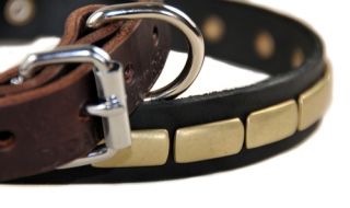 Plated Beauty Leather Dog Collar Top Quality by D T