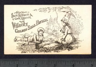 Willards Golden Seal Bitters Cure Picnic Ad Trade Card