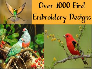 1000 Birds and Birdhouses Embroidery Machine Designs Pes Format