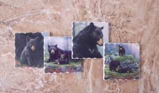 Bear Coaster Set Black Bear Family Assorted Coasters