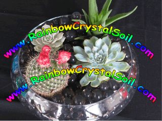 Water Marbles Clear Crystal Soil Gel Ball Plants Decoration Wedding 