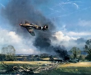 Print Wootton WWII RAF Hero Pilot Stanford Tuck Downs Fighter German 