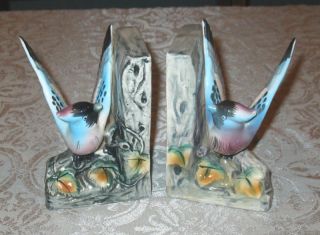 Blue Jay Birds Book Ends Holder Japan Free Shipping