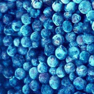  Blueberry Scented Fragrance Oil You Pick Size
