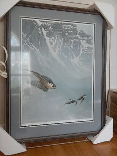 Robert Bateman Peregrine Falcon and White Throated Swifts Framed s N 