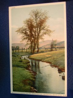 Pendexter Brook. Interval New Hampshire 1908 postcard # 47895