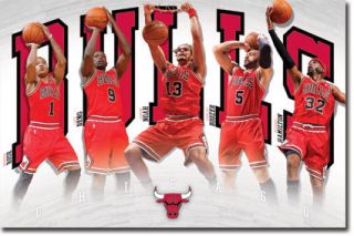   Team Laminated Basketball Poster Noah Deng Derrick Rose Boozer