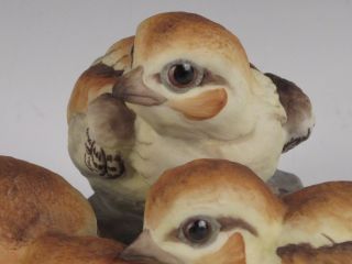 Boehm Baby Grouse 400 68 Bird Group Figurine