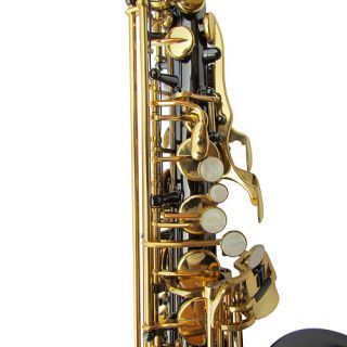   Nickel Plated EB Alto Sax Saxophone Laza w Hardcase Care Kit