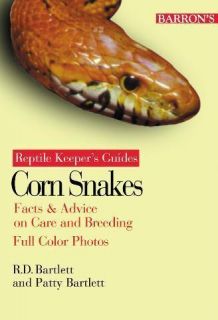Corn Snakes Facts Advice on Care Breeding