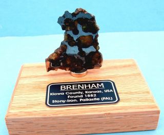 Brenham Palasite Meteorite Slice 19 7 grams Oak Base