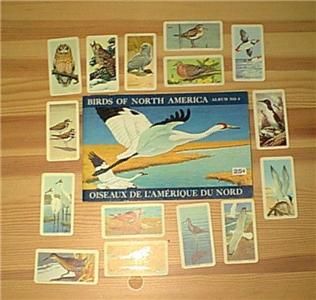 Res Rose Tea Cards Brooke Bond Series 4 Birds of North America with 