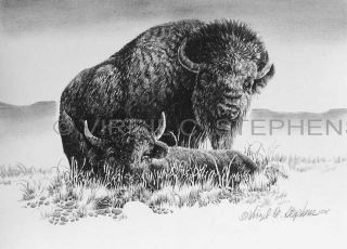   Wildlife Art Western Print of Buffalo Out in The Wild Artwork