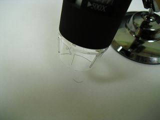   USB Microscope Insect Identifier Bed bugs Bedbug Bed Bug Bedbugs