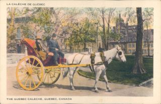CANADA Quebec caleche 1920s