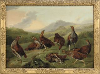 Stephen Elmer Grey Partridge in A Landscape C18TH Oil on Panel