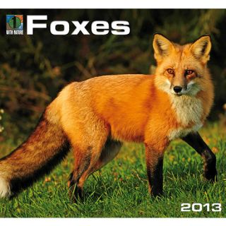 Foxes 2013 Wall Calendar 1554565774