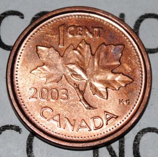 Canada 2003 Old Effigy 1 Cent Zinc One Canadian Penny Coin Non 