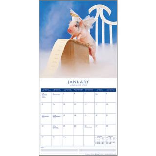 2012 Wall Calendar Pigs on Parade Humor on Sale