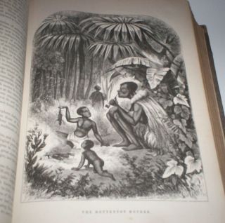 THE ANIMAL KINGDOM ILLUSTRATED 1867 w Many Great Illus Of Animals Vol 