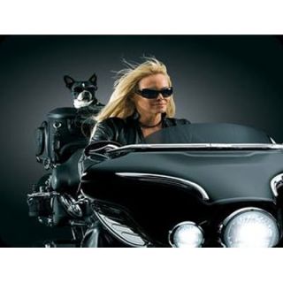   Carrier Palace Touring Motorcycle Harley VTX Canam BRP Spyder