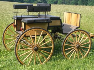    drawn custom made carriage wagonette PU Long Valley Califon NJ Area