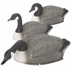 Carry Lite 2 PC Canadian GOOSE Decoys Molded Inlay Cheek Heads 2 Dzn 