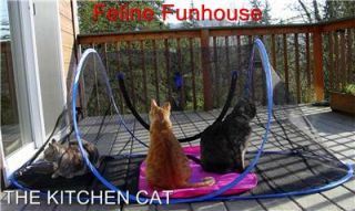 Indoor Outdoor Cat Enclosure Tent Sleeping Hiding Play Camp Covered 