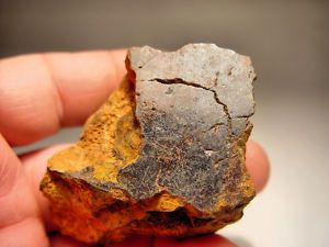 Museum Quality Santa Catharina Meteorite Brazil 93 Gms