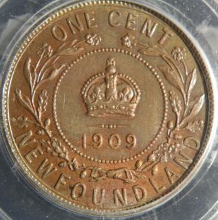 USA 1909 Newfoundland Large Cent PCGS MS64 BN