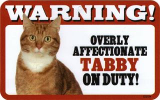 Overly Affectionate Tabby Cat on Duty Sign New